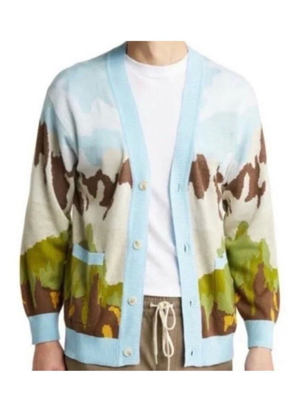 PacSun Light Blue Scenic Print Men’s Cardigan